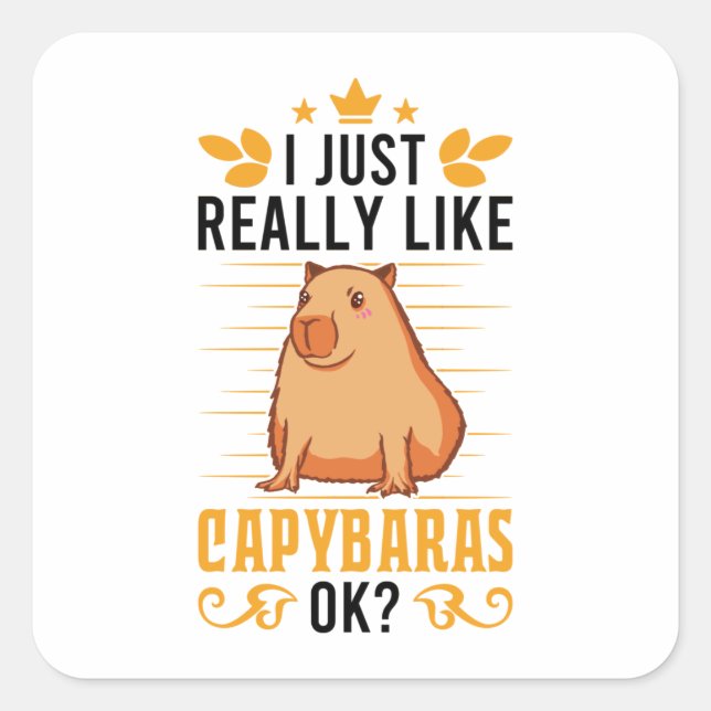 Pegatina Cuadrada Realmente Me Gusta Capybaras Ok Capybara (Anverso)