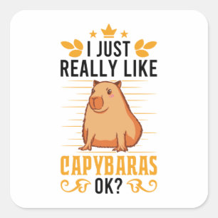 Pegatina Cuadrada Realmente Me Gusta Capybaras Ok Capybara