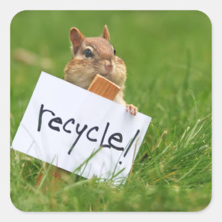 Pegatina Cuadrada reciclar chipmunk