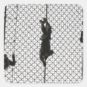 Pegatina Cuadrada reclutas que terminan un obstáculo