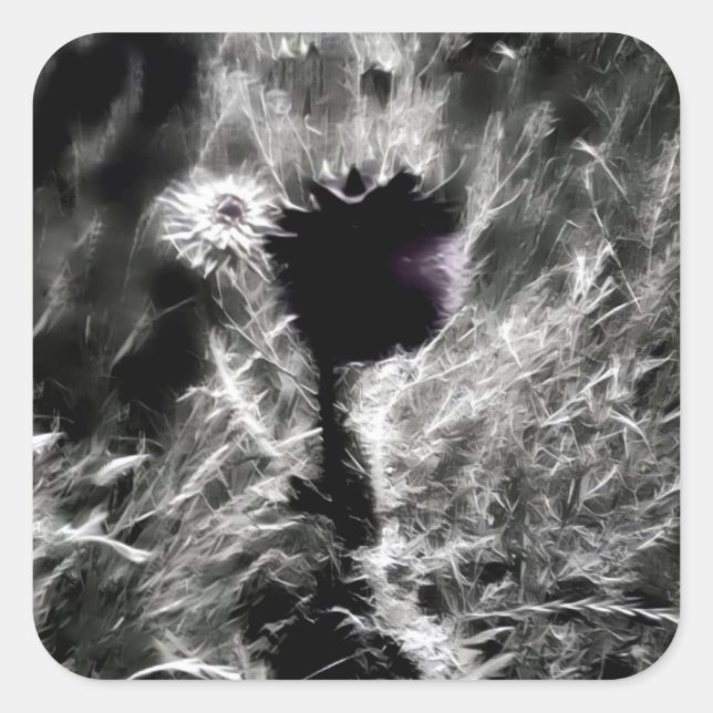 Pegatina Cuadrada Recoge (Anverso)