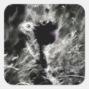 Pegatina Cuadrada Recoge