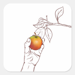 Pegatina Cuadrada Recogiendo una manzana