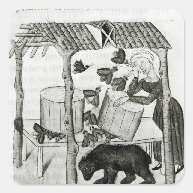 Pegatina Cuadrada Recolección de miel (Anverso)