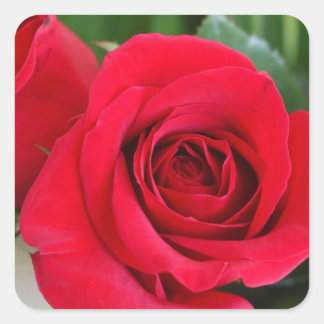 Pegatina Cuadrada Recordar amor