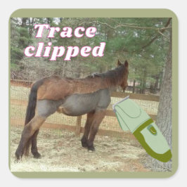 Pegatina Cuadrada recorte de traza dulce de Jamie