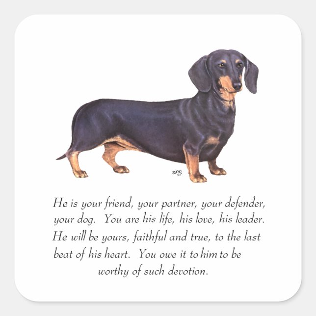Pegatina Cuadrada Recuerdo de Dachshund - Macho (Anverso)
