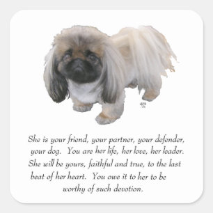 Pegatina Cuadrada Recuerdo de Pekinés - HEMBRA