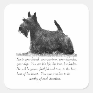Pegatina Cuadrada Recuerdo de Terrier Escocés - Perro MACHO