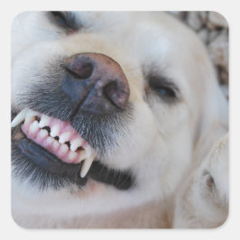 Pegatina Cuadrada Recuperador sonriente