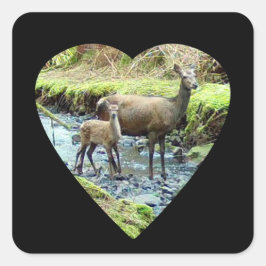 Pegatina Cuadrada Red Deer Doe and Baby Deer