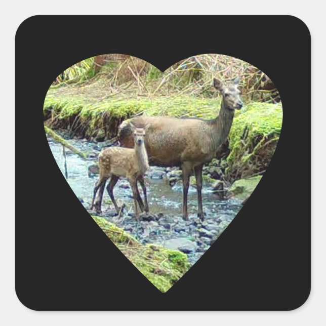 Pegatina Cuadrada Red Deer Doe and Baby Deer (Anverso)
