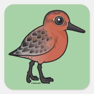 Pegatina Cuadrada Red Knot
