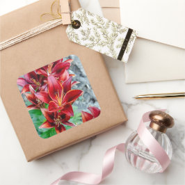 Pegatina Cuadrada Red Stargazer Lily Flower, fotografía canadiense