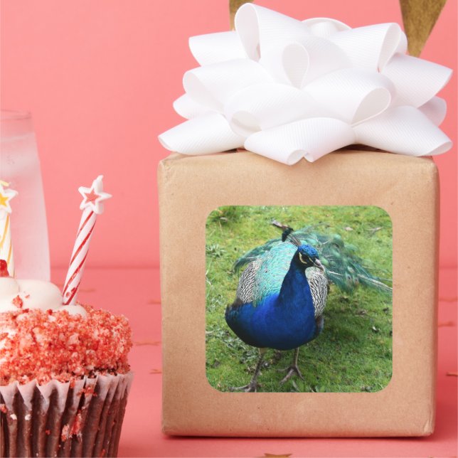 Pegatina Cuadrada Regal Peacock Power  (Fiesta)