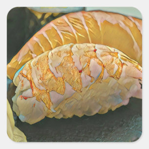 Pegatina Cuadrada Regalo de amante del sushi