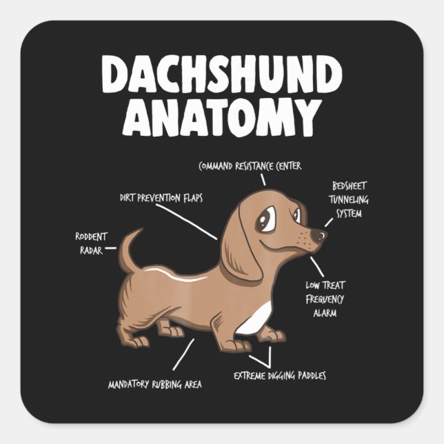 Pegatina Cuadrada Regalo de perro | Anatomía Dachshund Funny Weiner (Anverso)