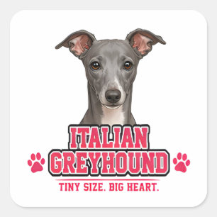 Pegatina Cuadrada 🐾 Regalo para amantes del galgo italiano🐾