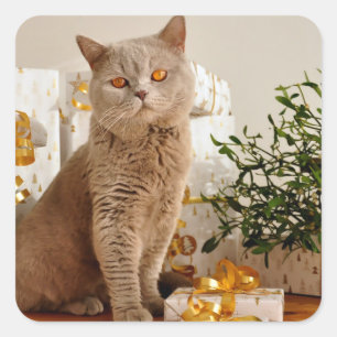 Pegatina Cuadrada Regalos de oro de Gato Gris