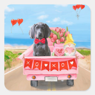 Pegatina Cuadrada Regalos de San Valentín para perros Weimaraner Cam
