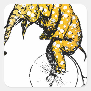 Pegatina Cuadrada Regalos para elefantes en circo