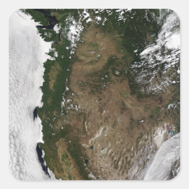 Pegatina Cuadrada Región noroccidental del Pacífico de los Estados U (Anverso)