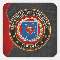 Registro de Operaciones Especiales Marinas (MSOR)