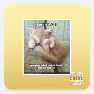 Pegatina Cuadrada Regla de Kitteh #231
