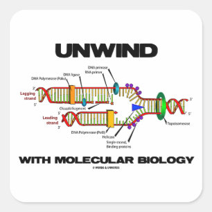 Pegatina Cuadrada Relajarse con la biología molecular (replicación d