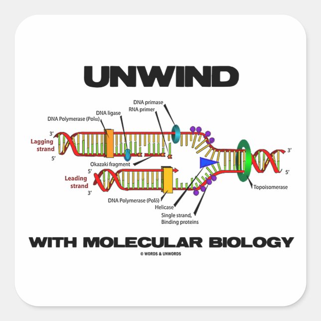 Pegatina Cuadrada Relajarse con la biología molecular (replicación d (Anverso)
