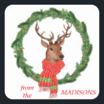 Pegatina Cuadrada Reno de la guirnalda del navidad<br><div class="desc">Aquí está un pegatina de la diversión que parecería grande en sus sobres de la tarjeta de Navidad, o para muchos el otro día de fiesta utiliza. Muestra una imagen de la acuarela de un reno que lleva una bufanda roja y verde brillante. El reno es enmarcado por una guirnalda...</div>