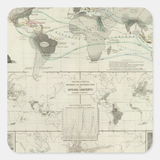 Pegatina Cuadrada Reptilia, Ophidia (Anverso)