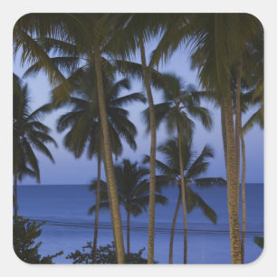 Pegatina Cuadrada República Dominicana, Península de Samaná, Las