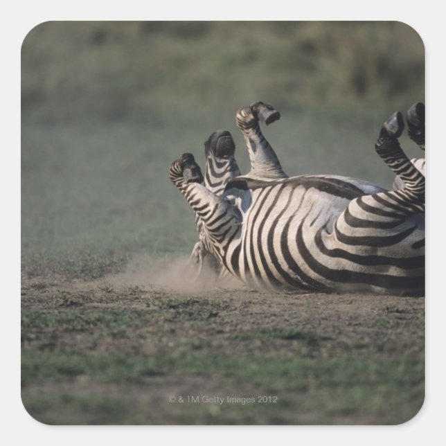 Pegatina Cuadrada Reserva Nacional Masai Mara, Kenya 2 (Anverso)