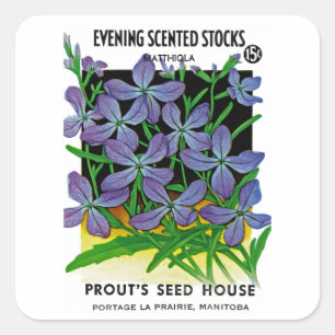Pegatina Cuadrada Reservas perfumadas nocturnas