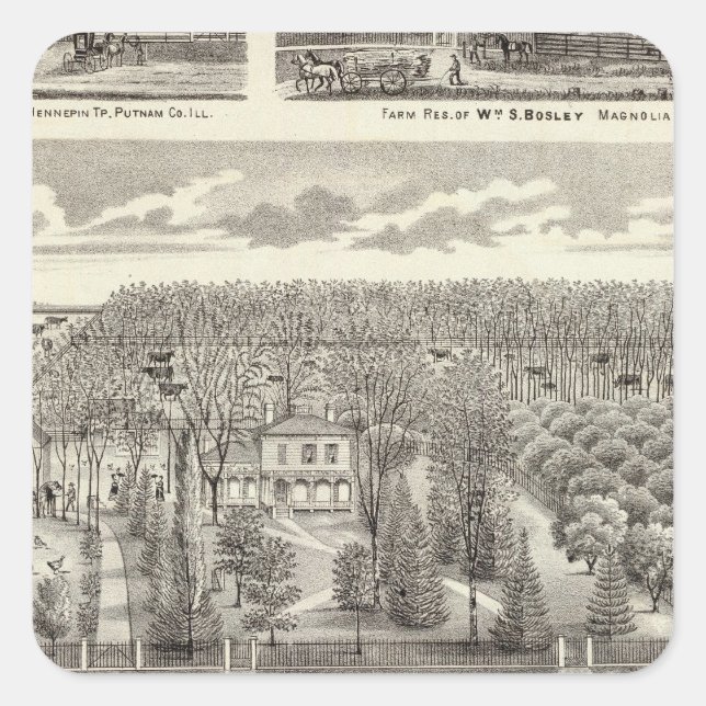 Pegatina Cuadrada Residencia de Maple Grove (Anverso)