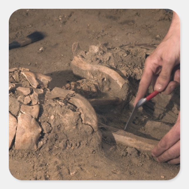 Pegatina Cuadrada Restituciones humanas (Anverso)