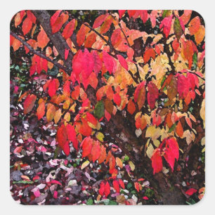 Pegatina Cuadrada Resumen de Bush en llamas