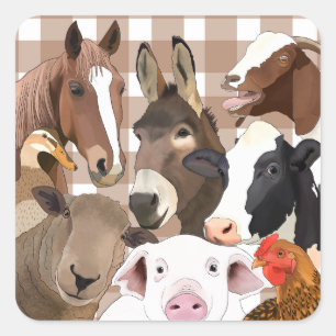 Pegatina Cuadrada Retrato de animales de granja de cultivo Gingham C