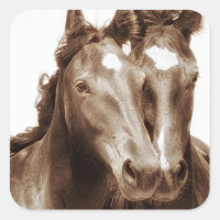 Retrato de caballo III