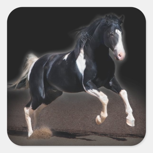 Pegatina Cuadrada Retrato de caballo VIII (Anverso)