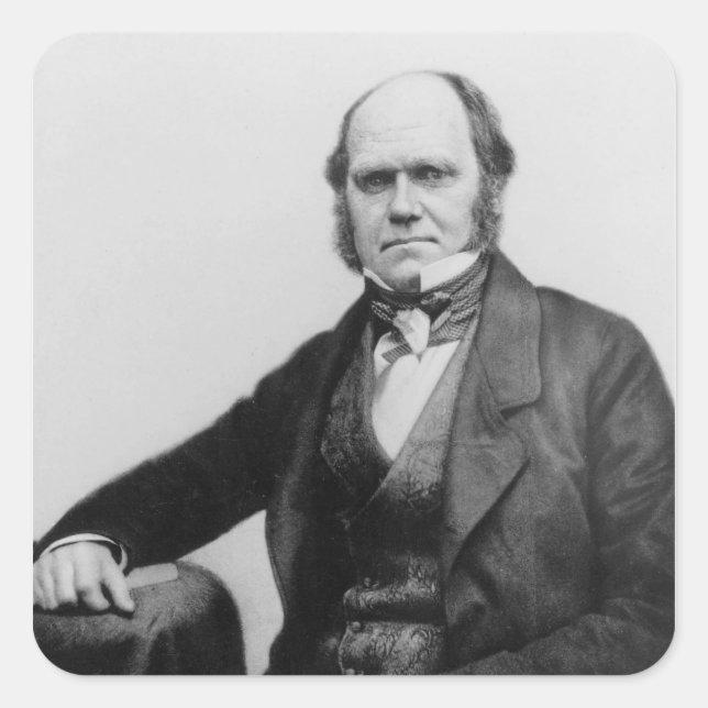 Pegatina Cuadrada Retrato de Charles Darwin, 1854 (Anverso)