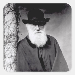 Pegatina Cuadrada Retrato de Charles Darwin 1881