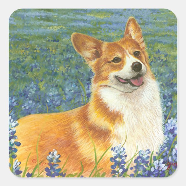 Pegatina Cuadrada Retrato de Corgi & Bluebonnets (Anverso)