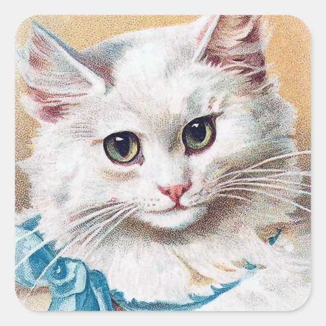 Pegatina Cuadrada Retrato de gato blanco (Anverso)