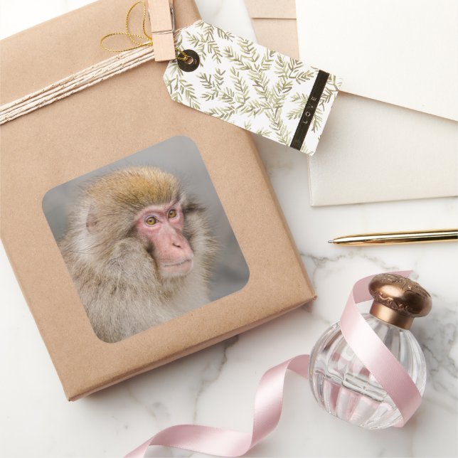 Pegatina Cuadrada Retrato de Macaco Pardo (Regalar)