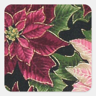 Pegatina Cuadrada Retro 50s Flor de Nochebuena Burgundy Rosa