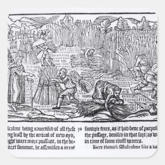 Pegatina Cuadrada Rey Malcolm de Escocia (Anverso)