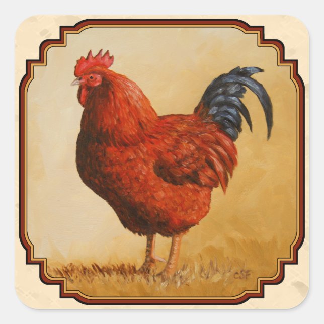 Pegatina Cuadrada Rhode Island Red Chicken Beige (Anverso)