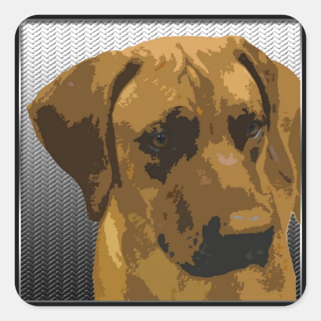 Pegatina Cuadrada Rhodesian Ridgeback (Anverso)